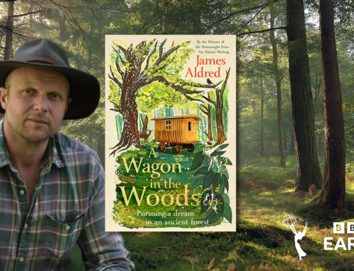 James Aldred: Finding our place in the forest